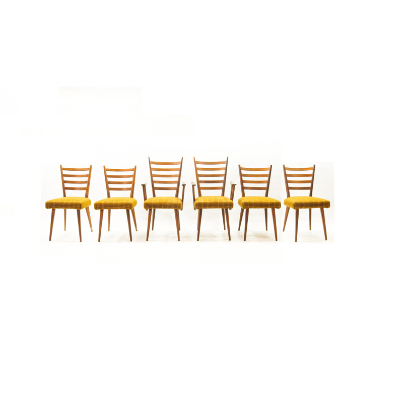 Ensemble de 6 chaises échelles vintage par Cees Braakman pour Pastoe, 1950