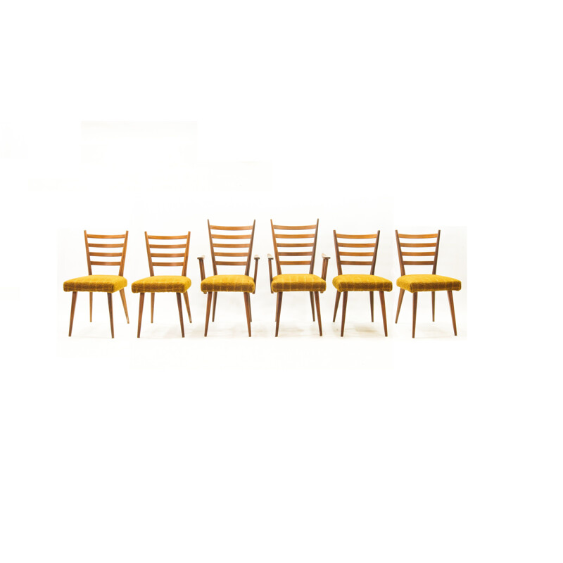 Set of 6 vintage ladder chairs by Cees Braakman for Pastoe, 1950s