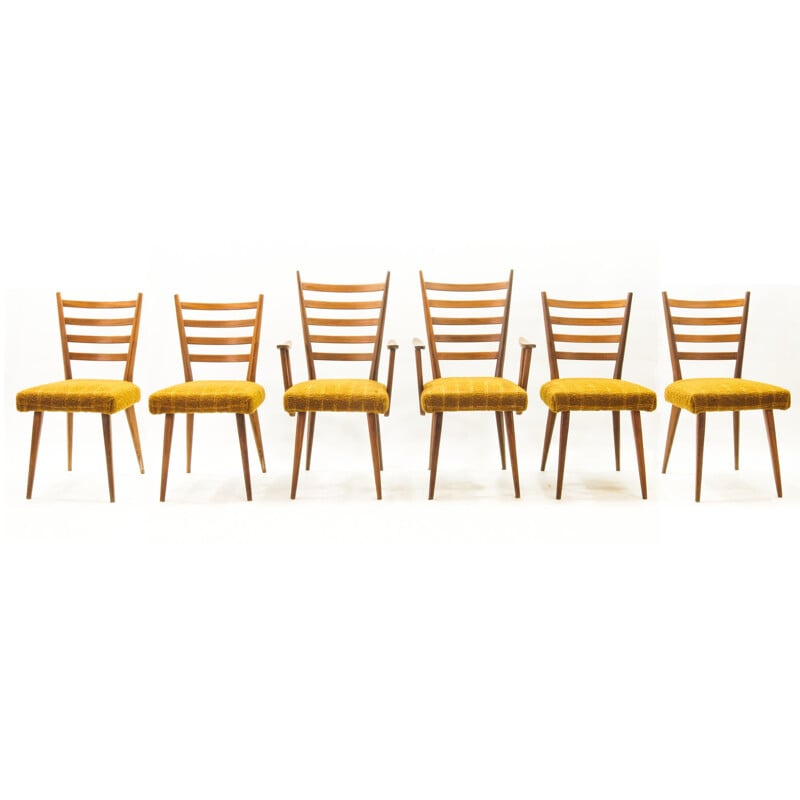 Set of 6 vintage ladder chairs by Cees Braakman for Pastoe, 1950s