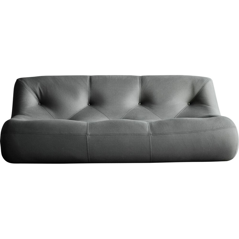 Vintage Kali sofa by Michel Ducaroy for Ligne Roset, France 1970s