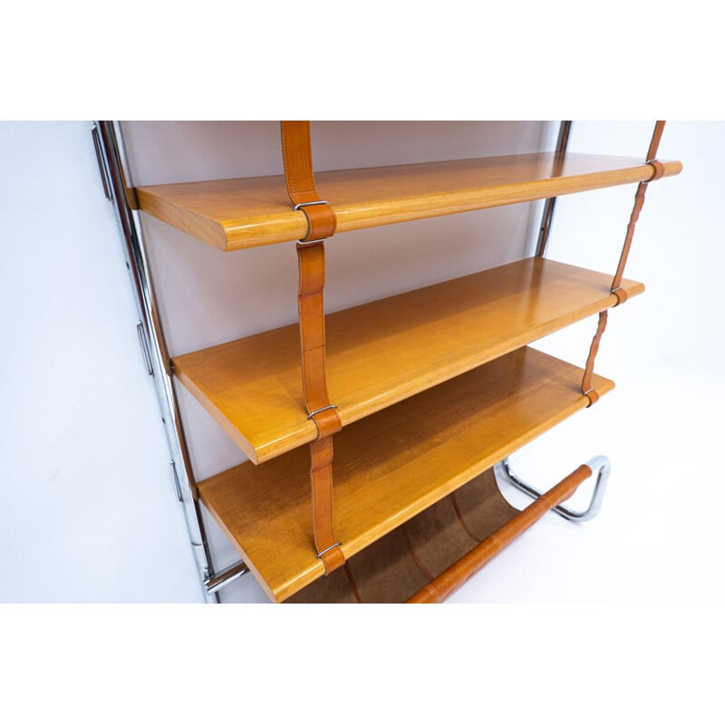 Vintage Jumbo bookcase by Luigi Massoni for Poltrona Frau, Italy 1970s