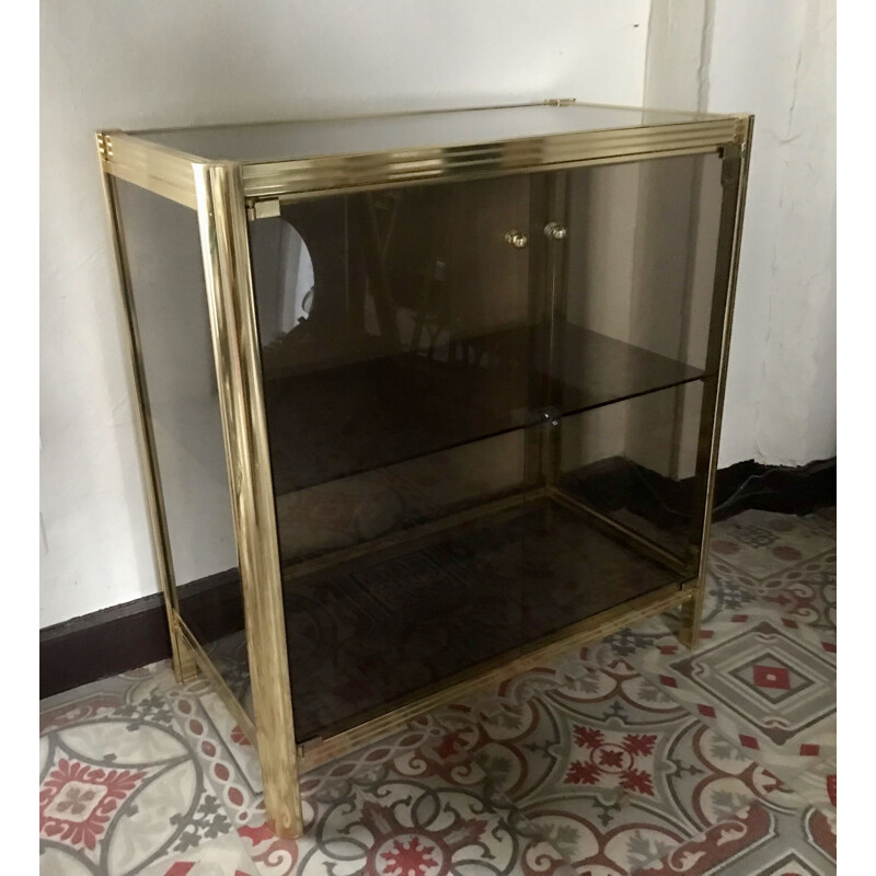 Vitrina metálica vintage de 2 puertas, 1960