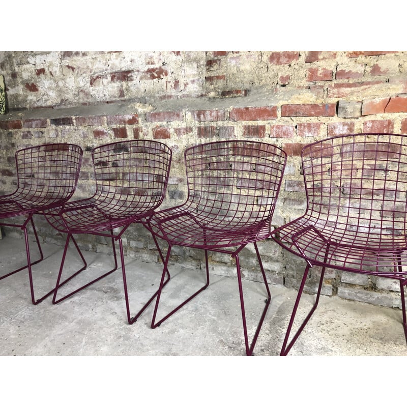 Set of 4 vintage wire chairs by Harry Bertoia for Knoll, 1970