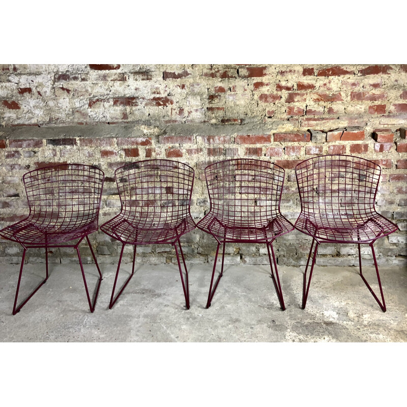 Set of 4 vintage wire chairs by Harry Bertoia for Knoll, 1970