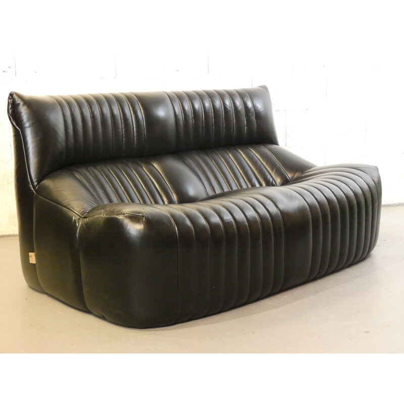 Vintage Aralia sofa by Michel Ducaroy for Ligne Roset, 1970