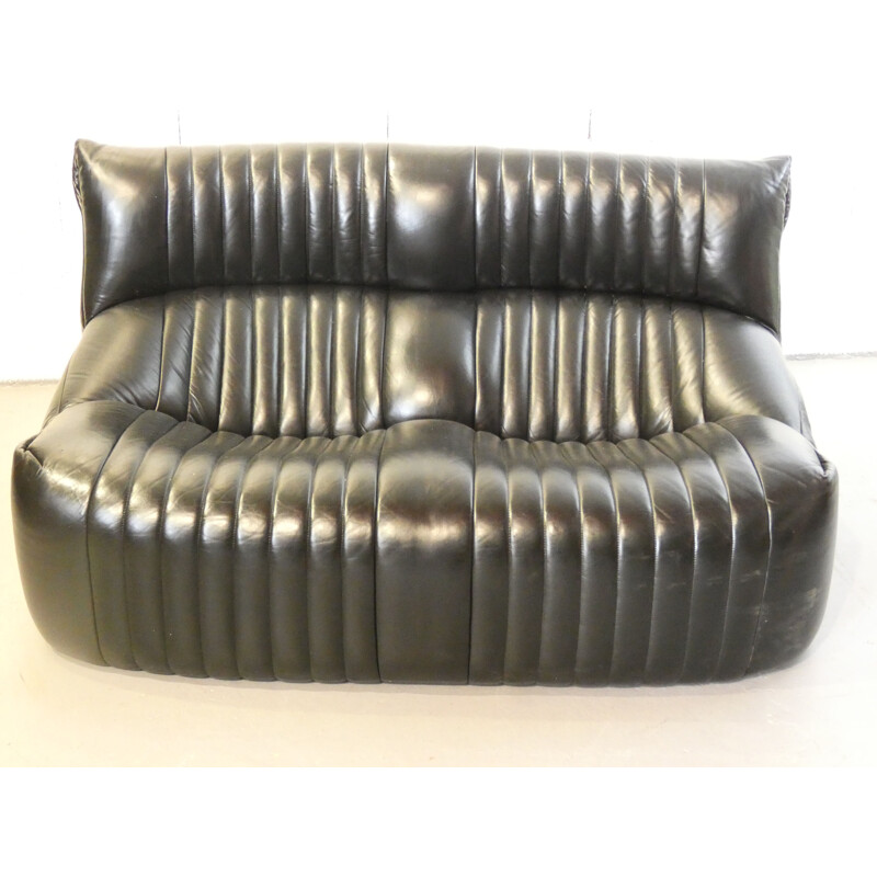 Vintage Aralia sofa by Michel Ducaroy for Ligne Roset, 1970