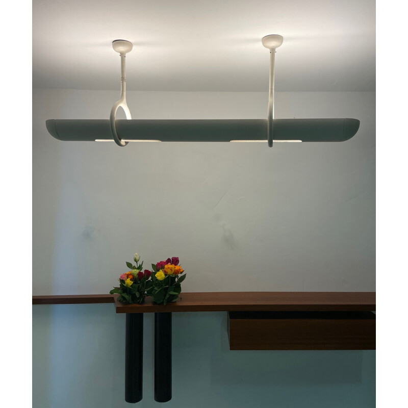 Vintage bio-design ceiling lamp by Christian Biecher