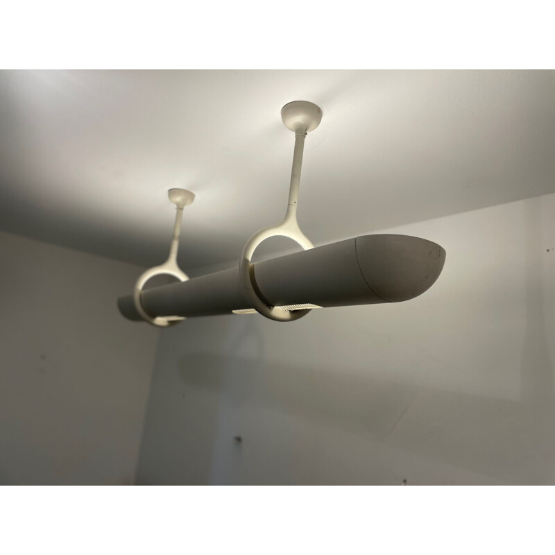 Vintage bio-design ceiling lamp by Christian Biecher