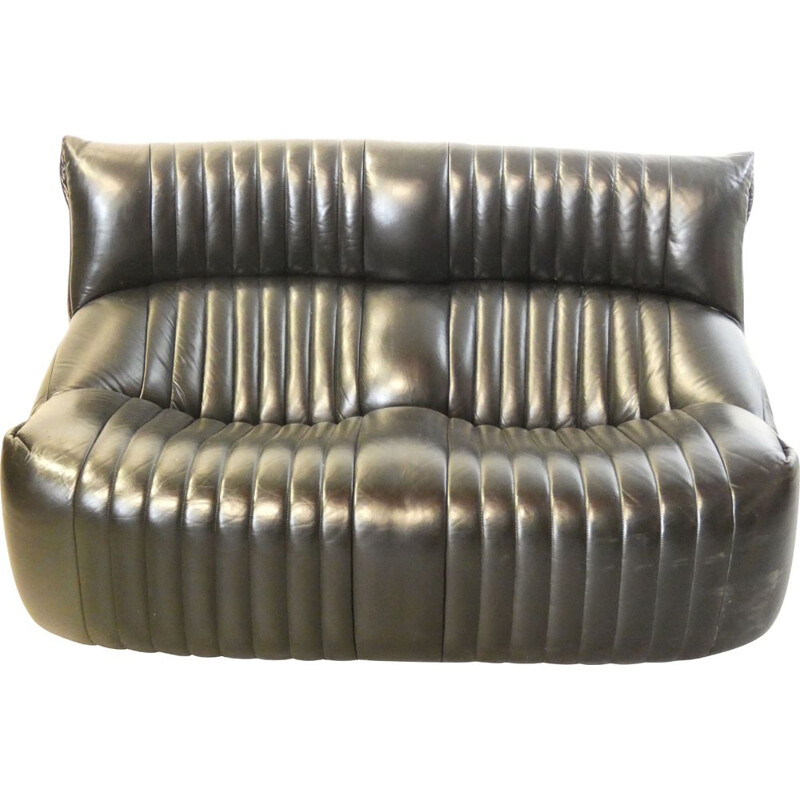 Vintage Aralia sofa by Michel Ducaroy for Ligne Roset, 1970