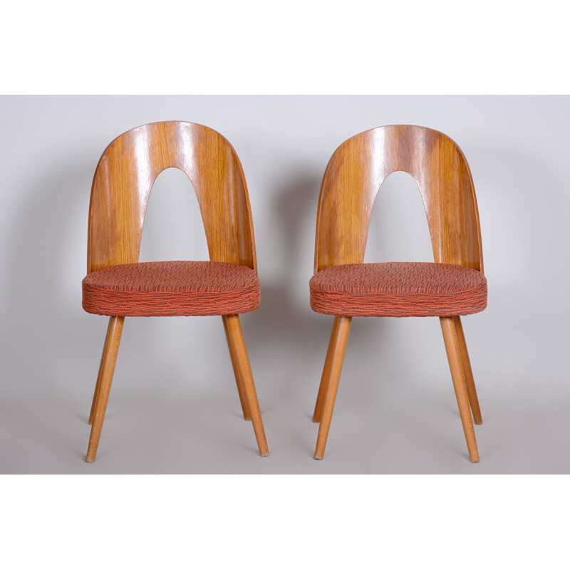 Paar vintage stoelen van Antonín Šuman, 1950