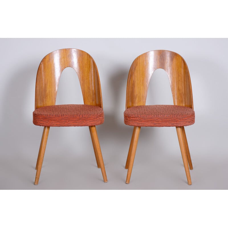Pair of mid century chairs by Antonín Šuman, 1950s