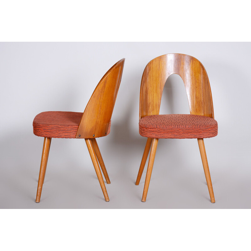 Pair of mid century chairs by Antonín Šuman, 1950s