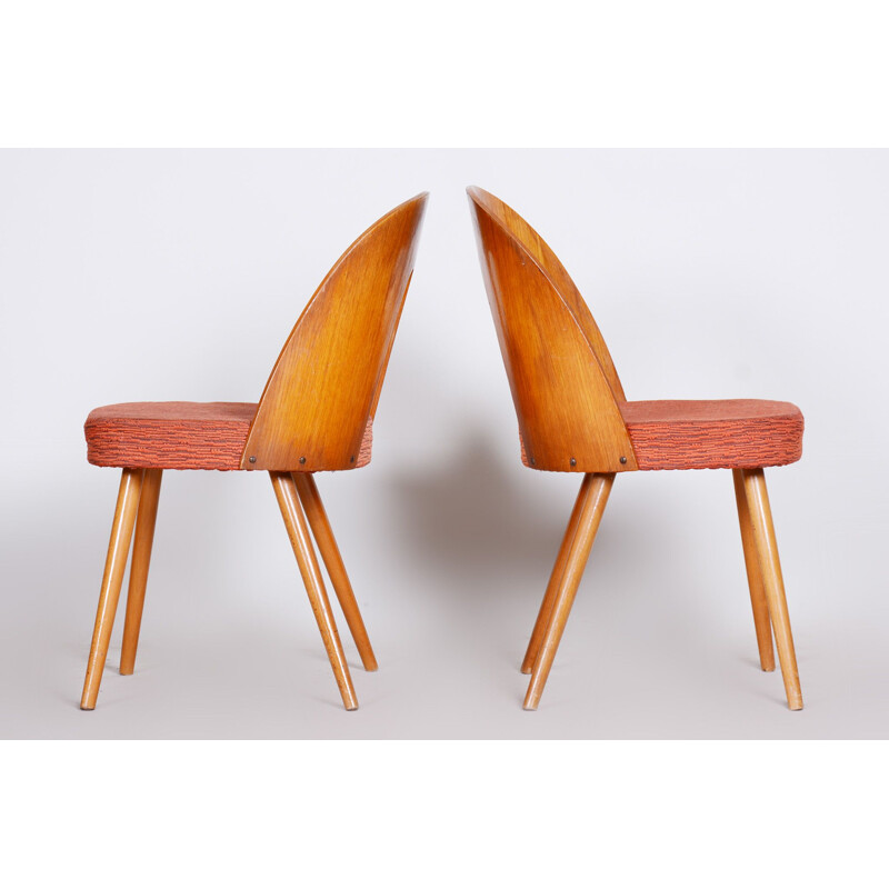 Pair of mid century chairs by Antonín Šuman, 1950s