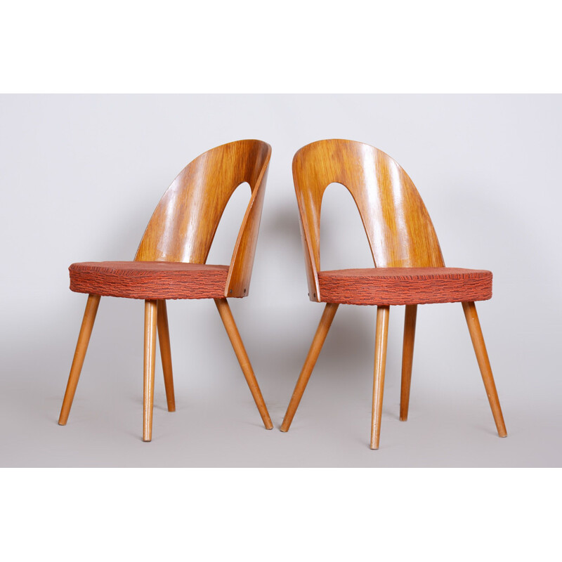 Pair of mid century chairs by Antonín Šuman, 1950s