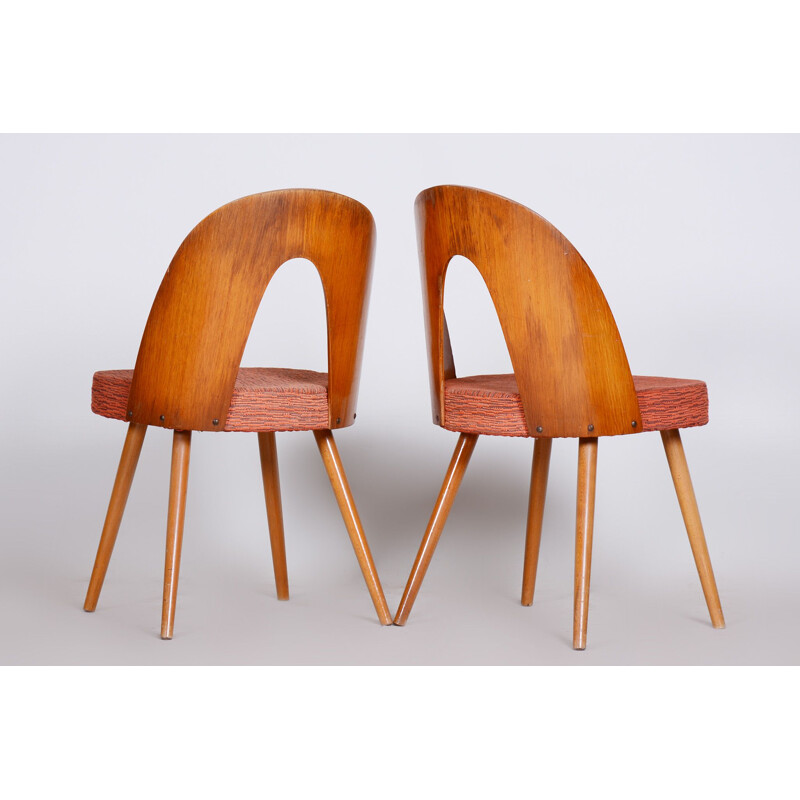 Paar vintage stoelen van Antonín Šuman, 1950