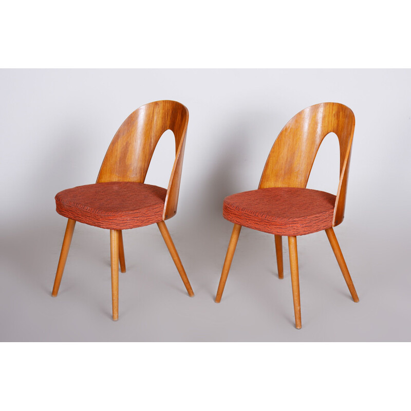 Pair of mid century chairs by Antonín Šuman, 1950s