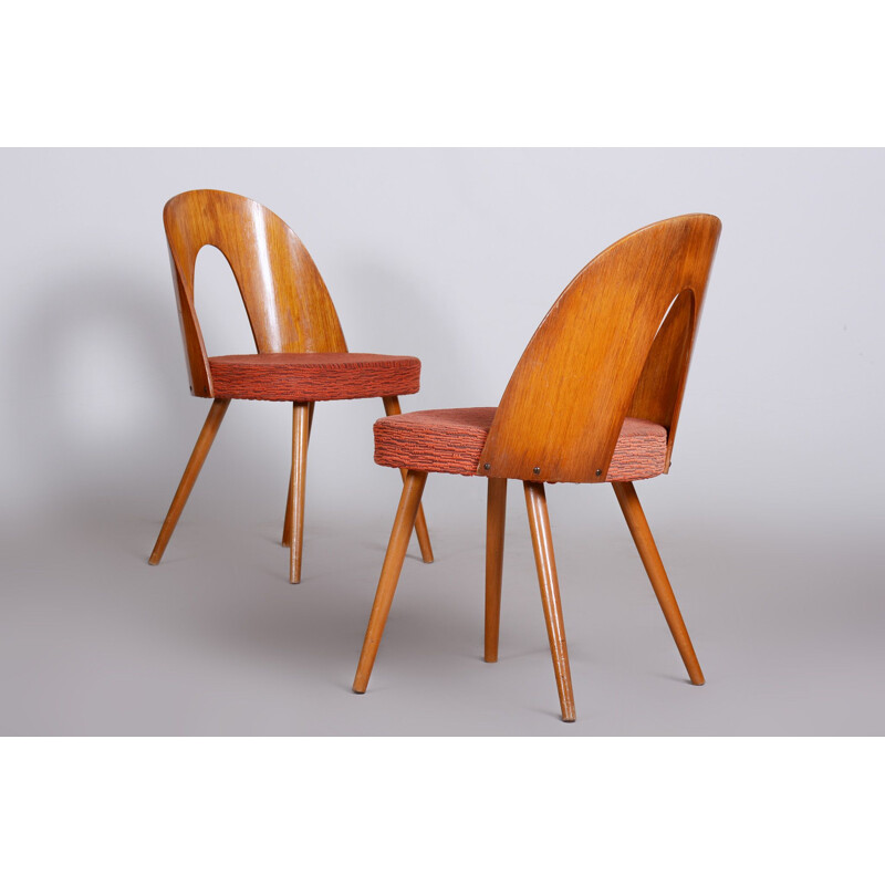 Paar vintage stoelen van Antonín Šuman, 1950