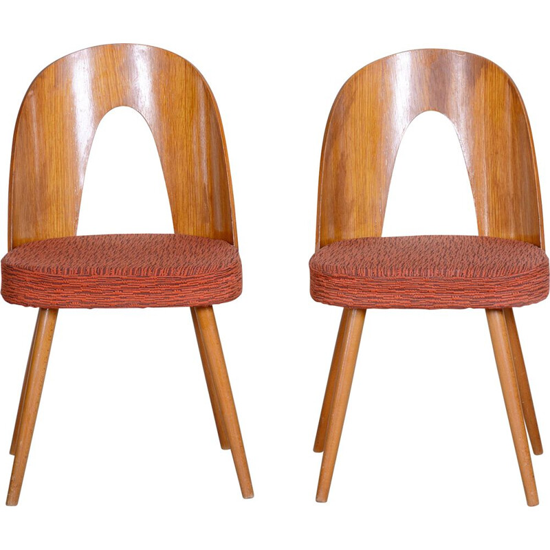 Pair of mid century chairs by Antonín Šuman, 1950s