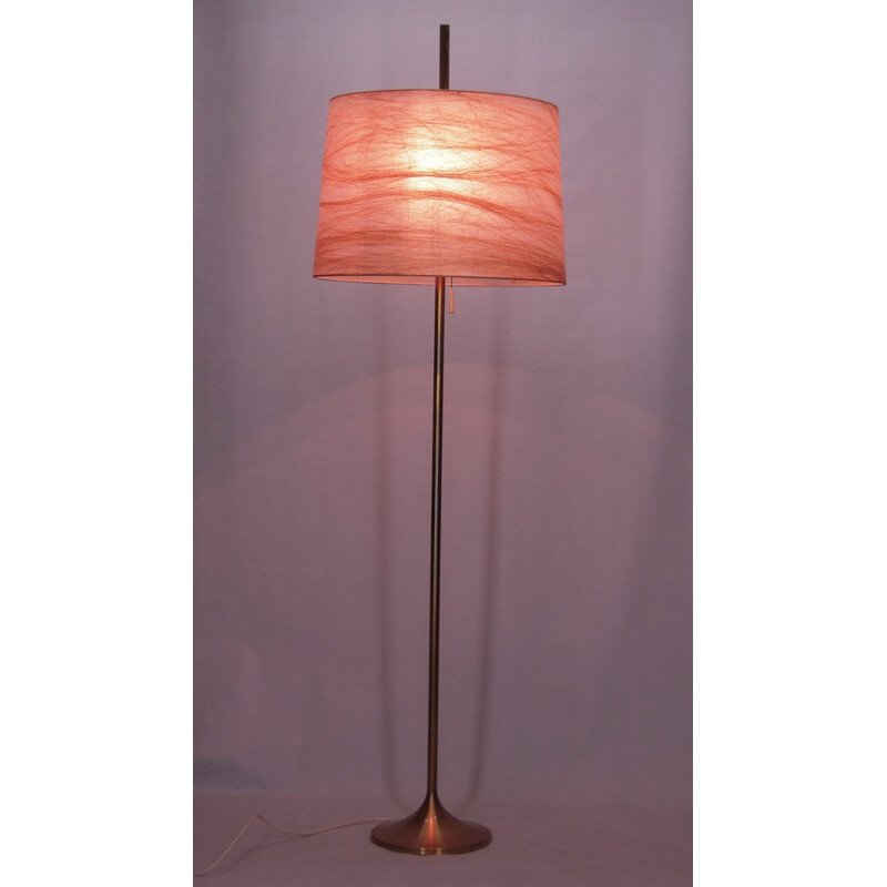 Vintage brass and rhodoid floor lamp, 1950