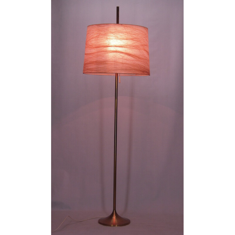 Vintage-Stehlampe aus Messing und Rhodoid, 1950