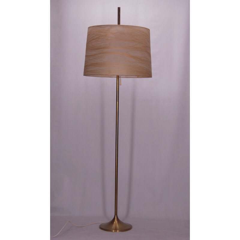 Vintage-Stehlampe aus Messing und Rhodoid, 1950