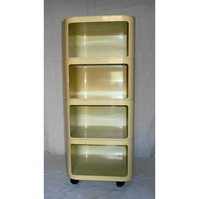 Vintage storage cabinet by Anna Castelli Ferrieri, 1960s