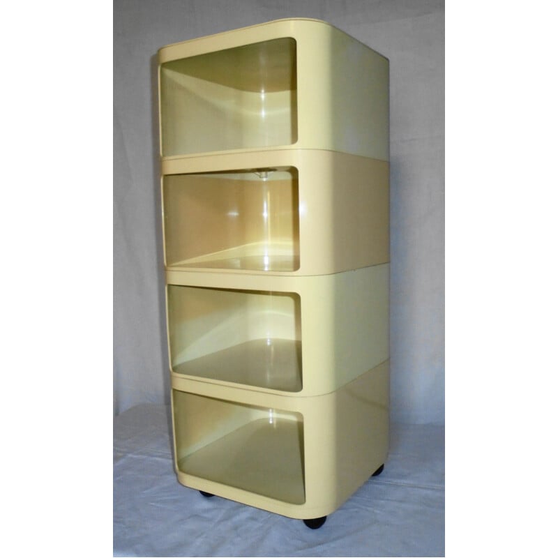 Vintage storage cabinet by Anna Castelli Ferrieri, 1960s
