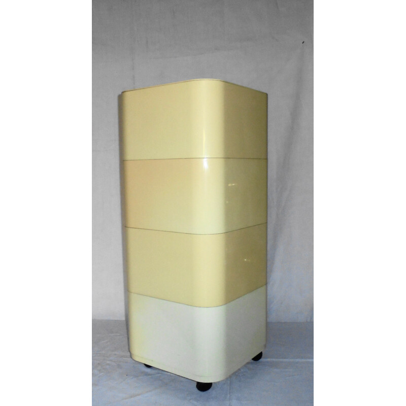 Vintage storage cabinet by Anna Castelli Ferrieri, 1960s