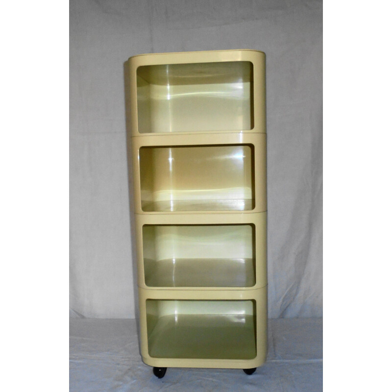 Vintage storage cabinet by Anna Castelli Ferrieri, 1960s