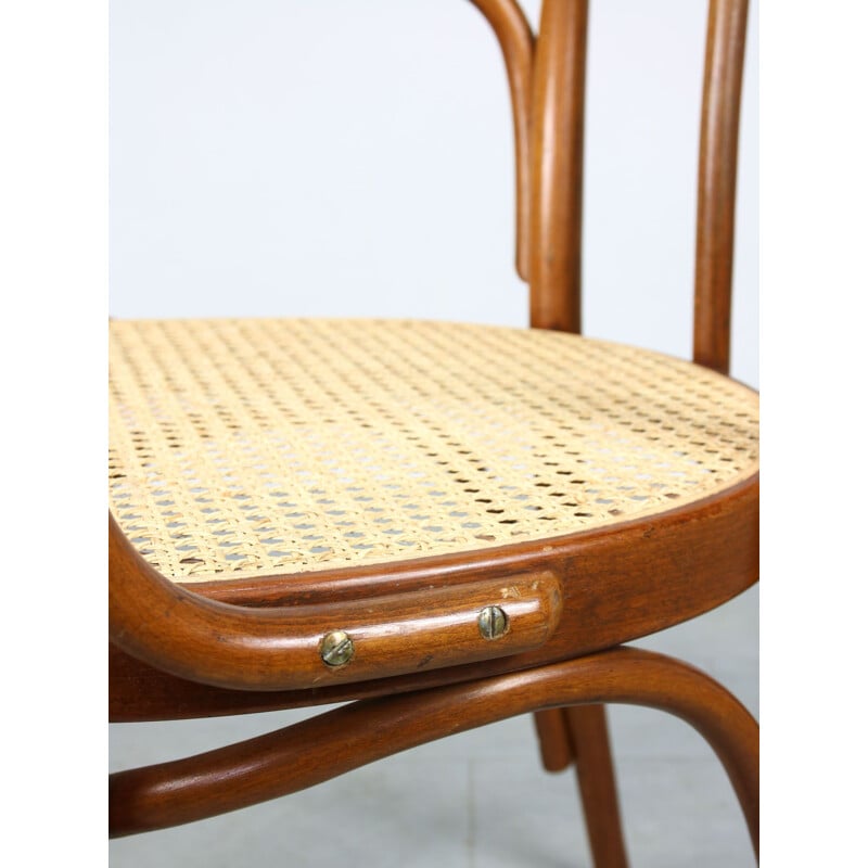 Vintage Wide No. 218 chair by Michael Thonet