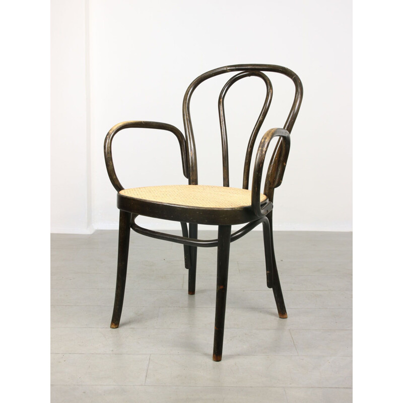 Vintage Wide No. 218 chair by Michael Thonet