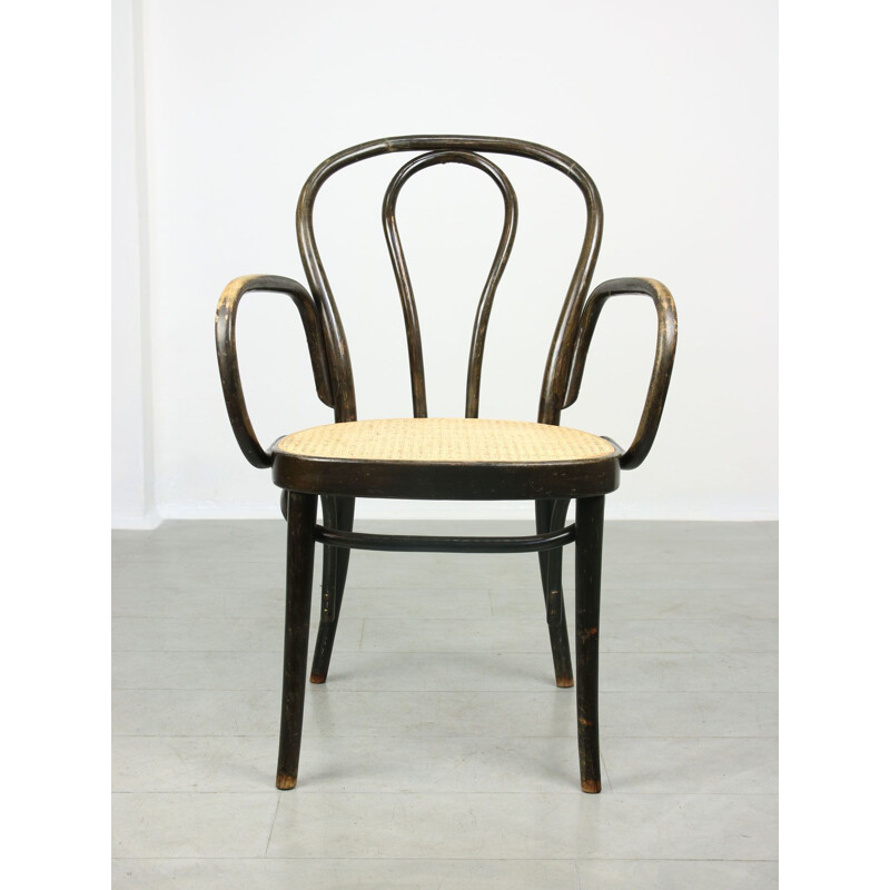 Michael Thonet vintage brede stoel nr.218