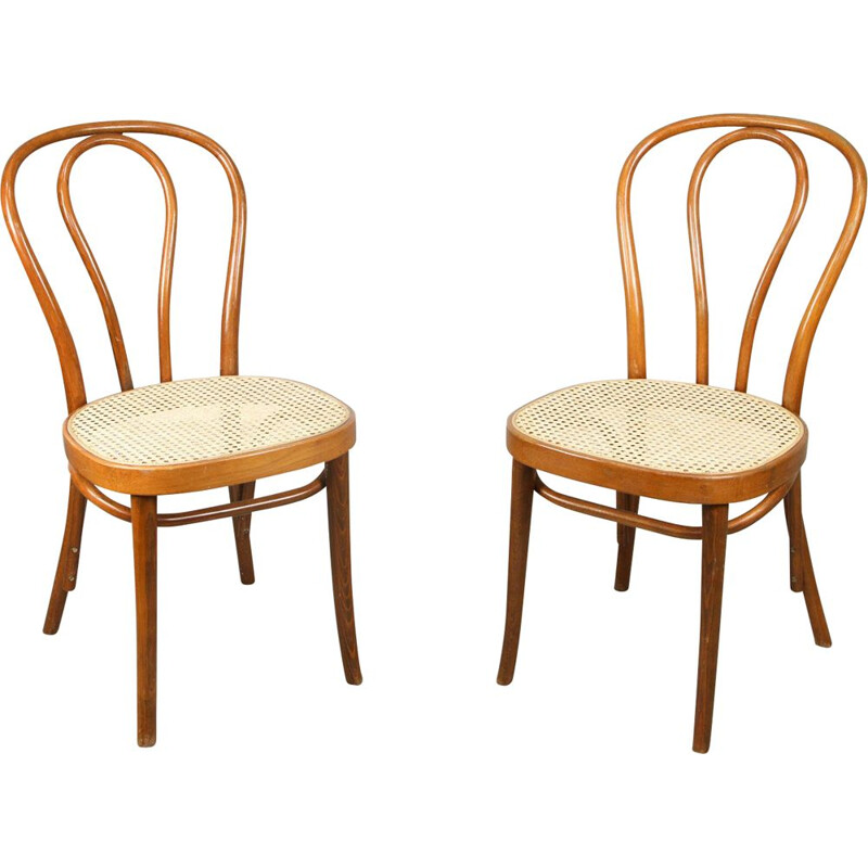 Pair of vintage chairs No.218 by Michael Thonet