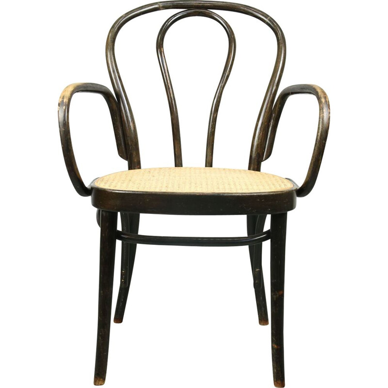 Vintage Wide No. 218 chair by Michael Thonet