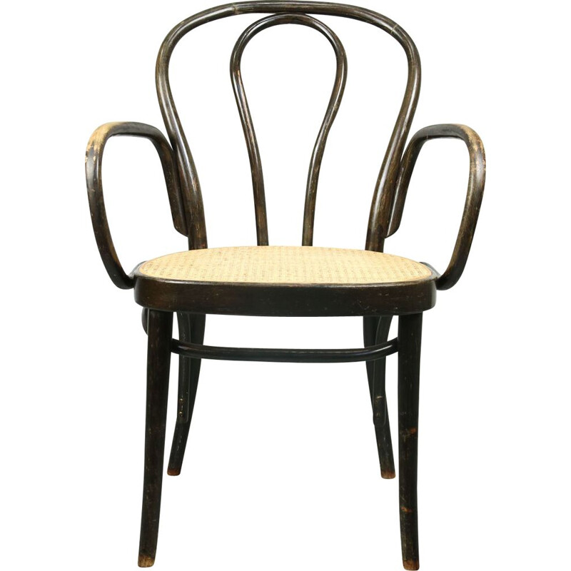 Vintage Wide Chair No.218 von Michael Thonet