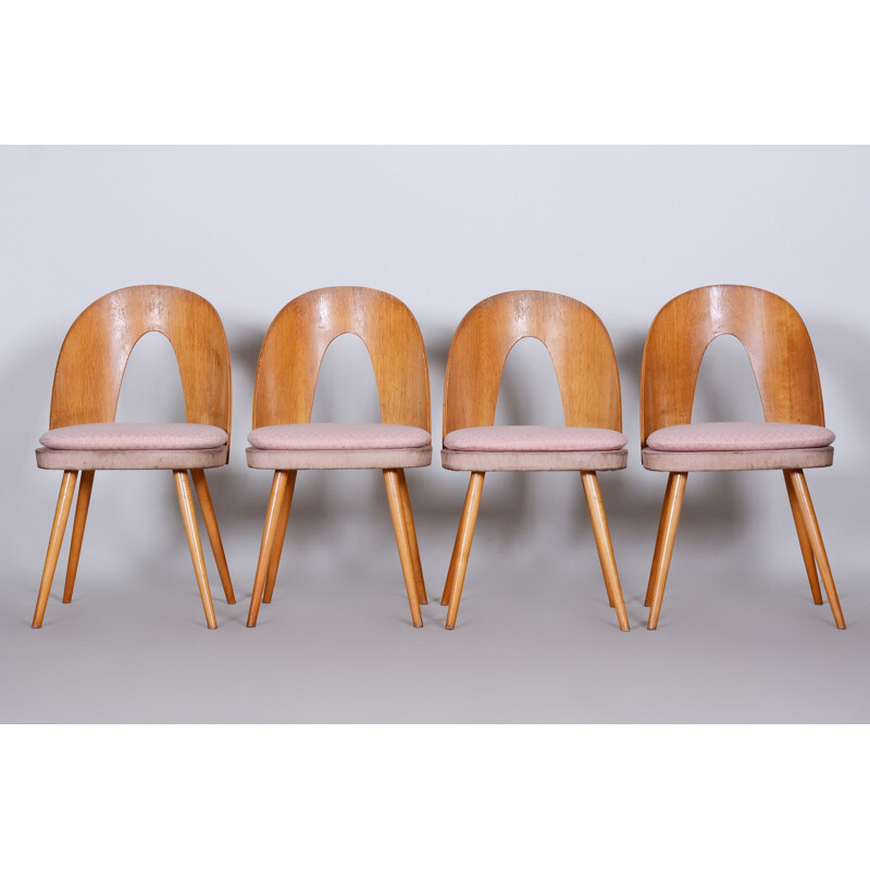 Conjunto de 4 cadeiras vintage de Antonín, Checoslováquia 1950