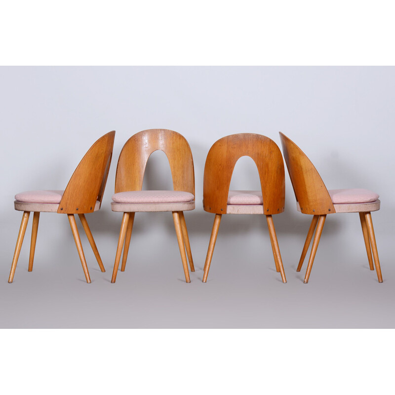 Conjunto de 4 cadeiras vintage de Antonín, Checoslováquia 1950