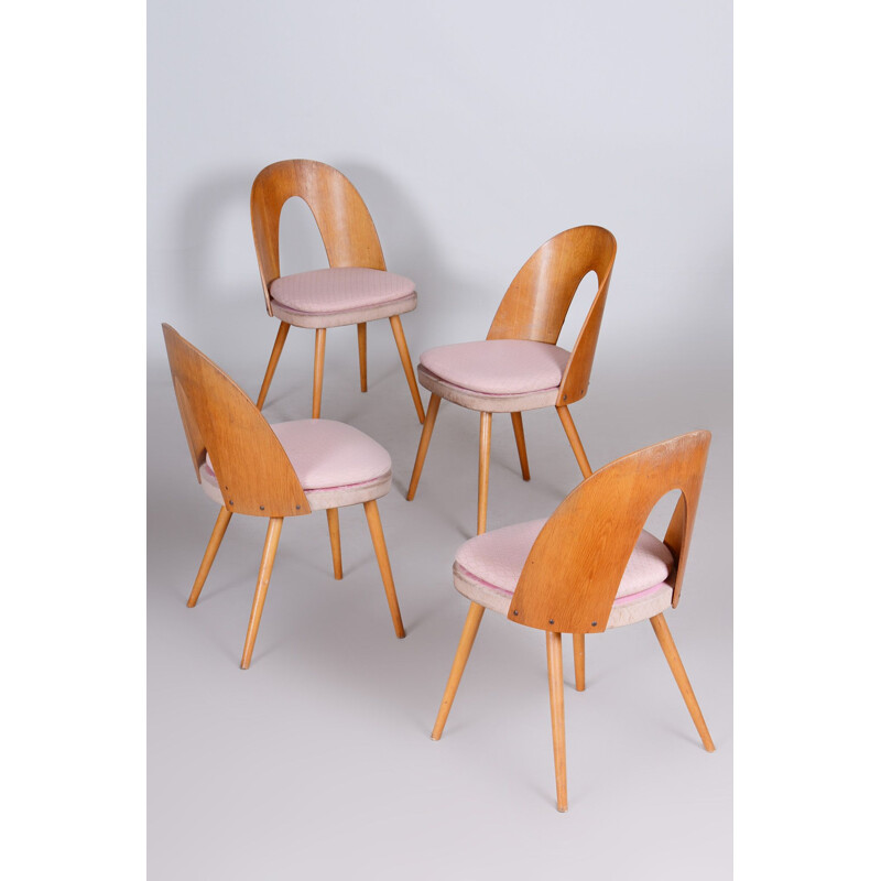 Set van 4 vintage stoelen van Antonín Šuman, Tsjechoslowakije 1950