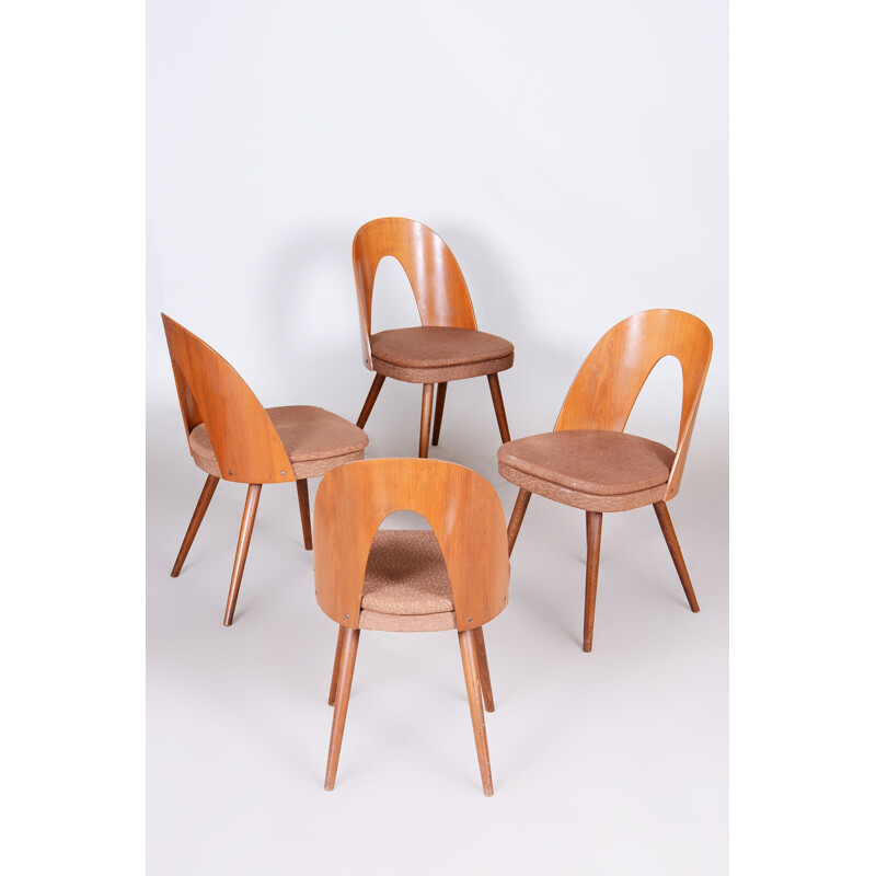 Set of 4 mid century chairs by Antonín Šuman, 1950s