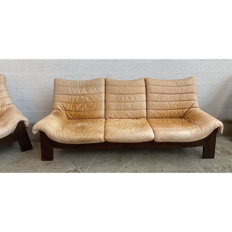 Vintage Regain living room set in leather