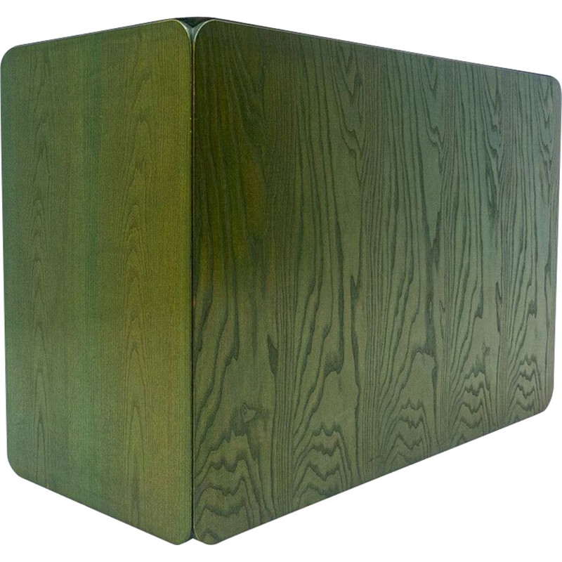 Vintage groene houten kist van Derk Jan de Vries, Nederland 1960