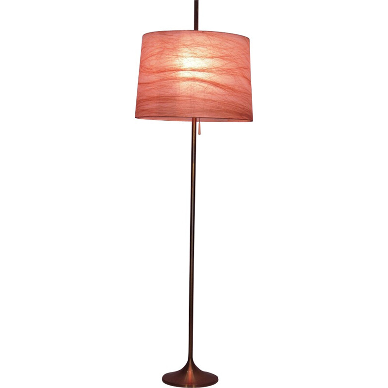 Vintage messing en rhodoïde vloerlamp, 1950