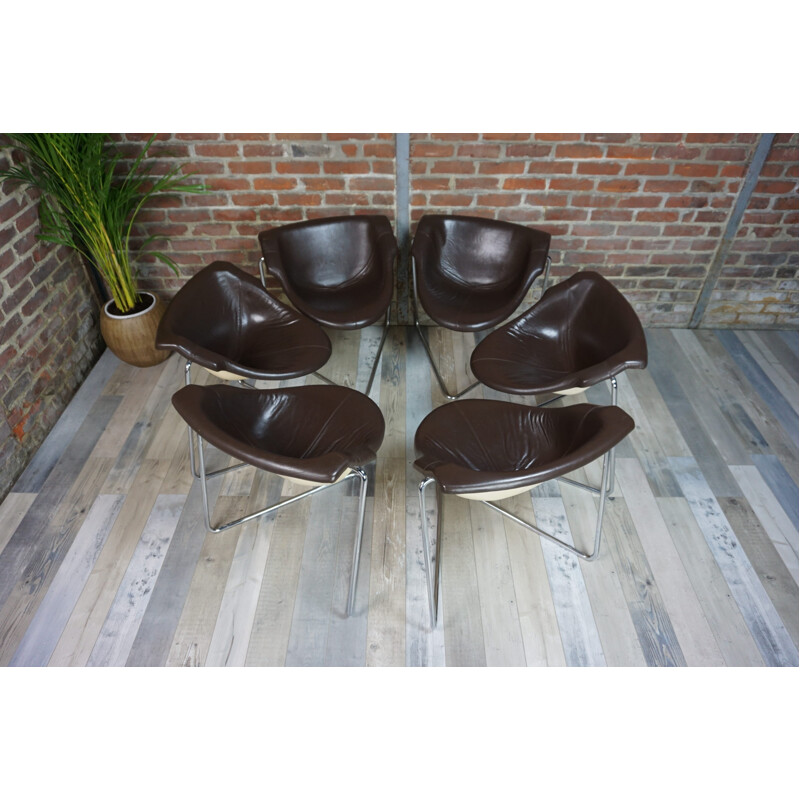 Set of 6 "Pussycat" Steiner chairs, Kwok Hoï CHAN - 1960s