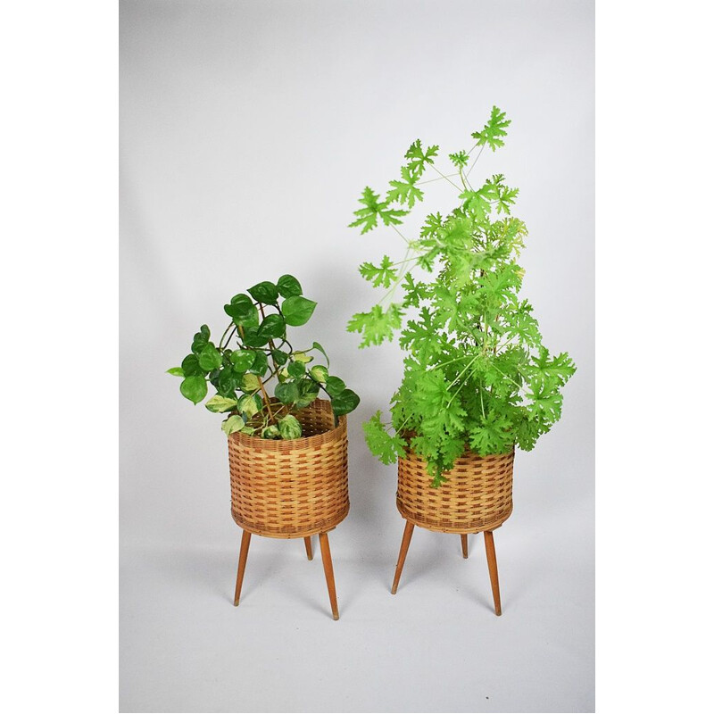 Vintage rattan flowerbed, 1970s