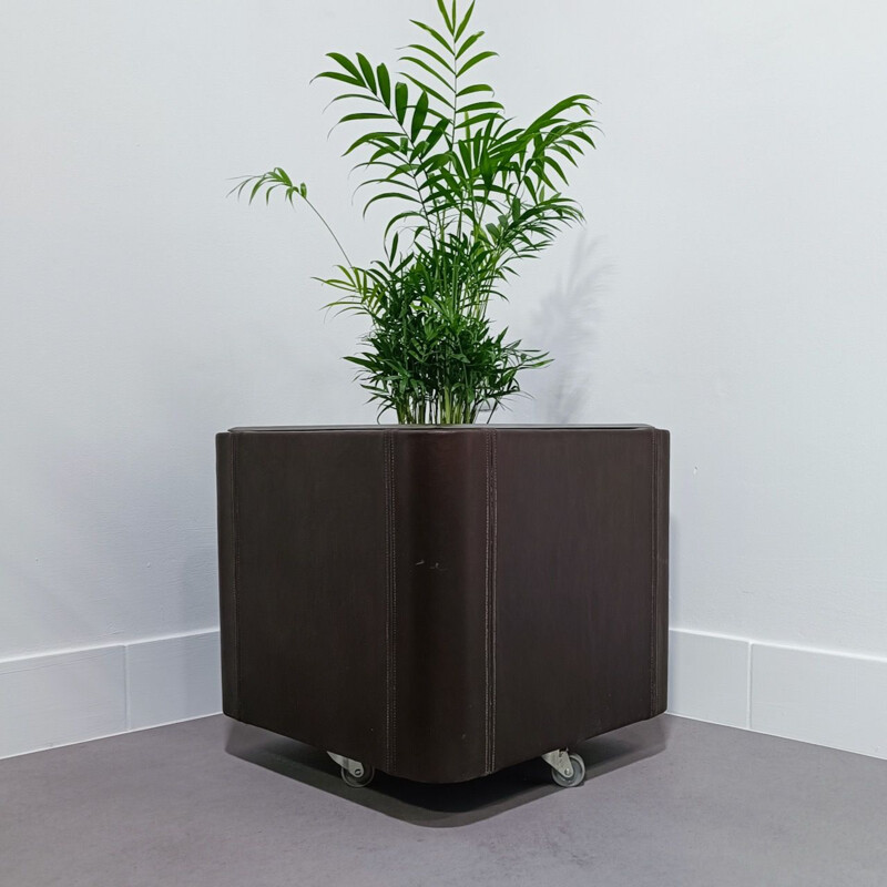 Vintage leather planter series Ds47 by De Sede