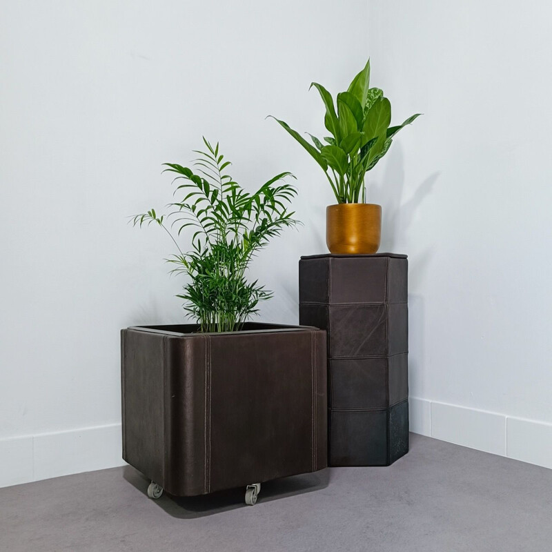 Vintage leather planter series Ds47 by De Sede