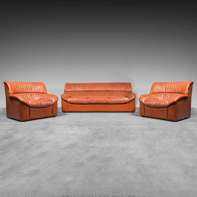 Vintage leather living room set, 1970s