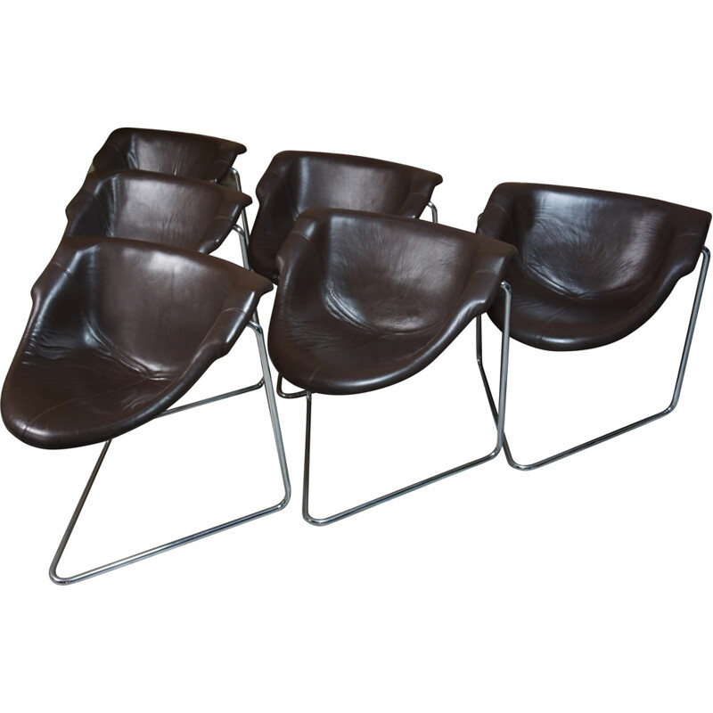Set of 6 "Pussycat" Steiner chairs, Kwok Hoï CHAN - 1960s