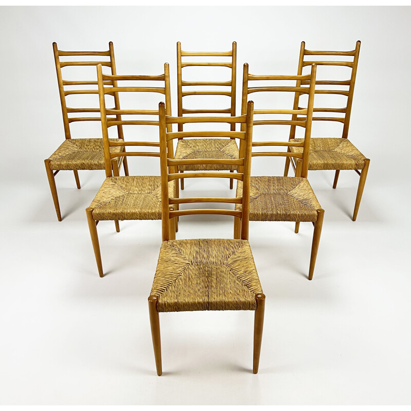 Conjunto de 6 sillas italianas de época en madera de abedul y junco, 1960