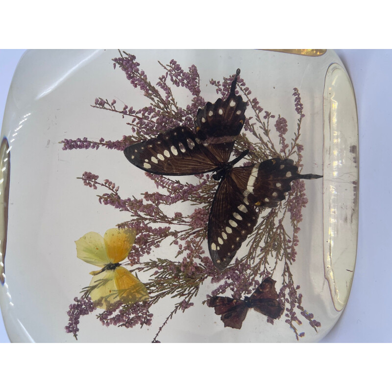 Bloque vintage de resina con mariposas naturalizadas, 1970